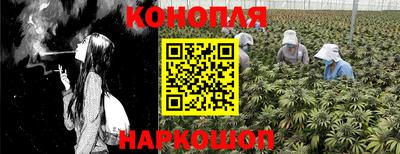 гашик Ипатово